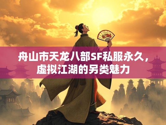 舟山市天龙八部SF私服永久，虚拟江湖的另类魅力  第3张