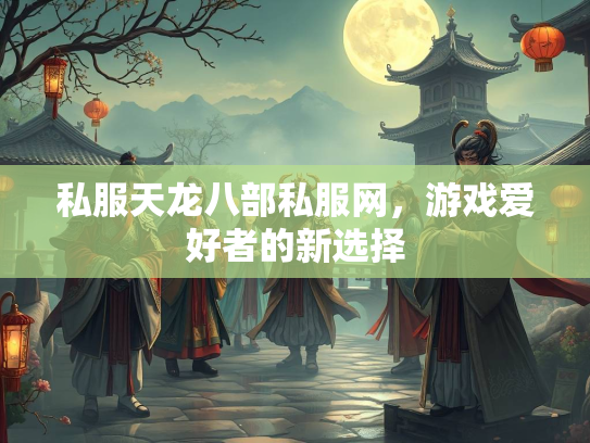 私服天龙八部私服网，游戏爱好者的新选择  第3张