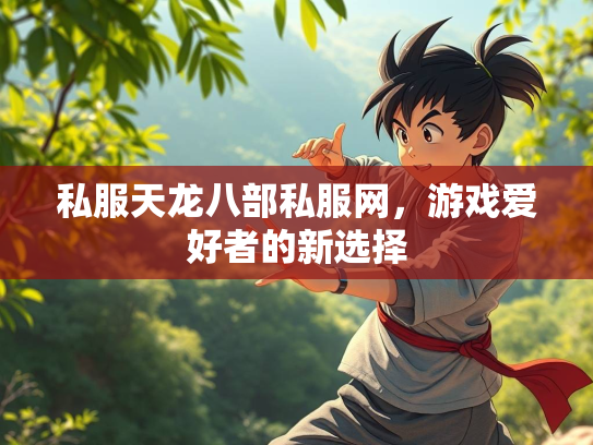 私服天龙八部私服网，游戏爱好者的新选择  第1张