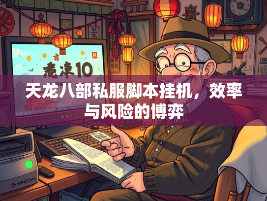 天龙八部私服脚本挂机，效率与风险的博弈  第2张