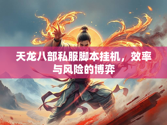天龙八部私服脚本挂机，效率与风险的博弈  第3张