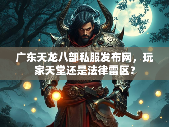 广东天龙八部私服发布网，玩家天堂还是法律雷区？  第2张
