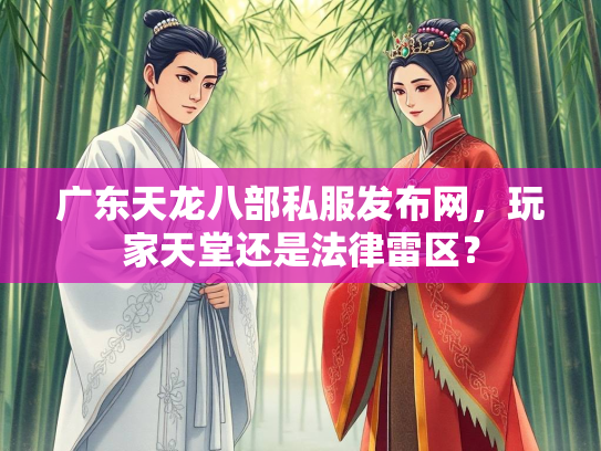 广东天龙八部私服发布网，玩家天堂还是法律雷区？  第1张