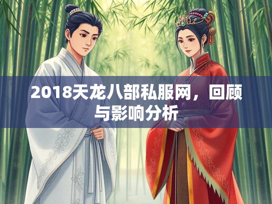 2018天龙八部私服网，回顾与影响分析  第3张