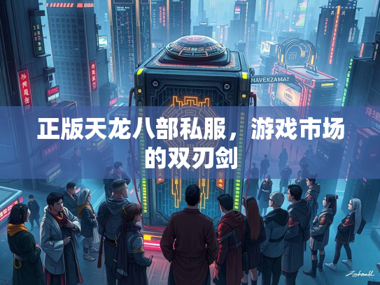 正版天龙八部私服，游戏市场的双刃剑  第3张