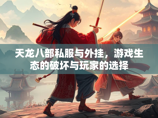 天龙八部私服与外挂，游戏生态的破坏与玩家的选择  第3张