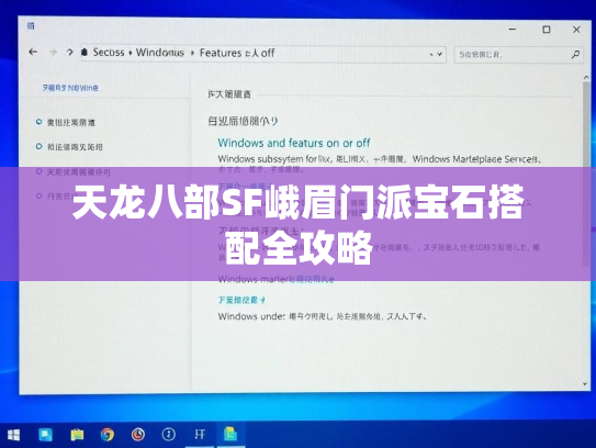天龙八部SF峨眉门派宝石搭配全攻略  第1张