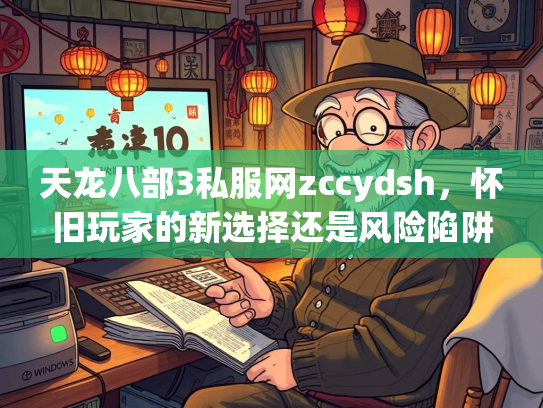 天龙八部3私服网zccydsh，怀旧玩家的新选择还是风险陷阱？