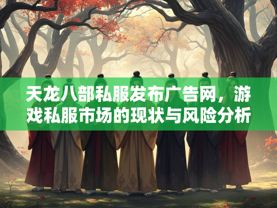 天龙八部私服发布广告网，游戏私服市场的现状与风险分析