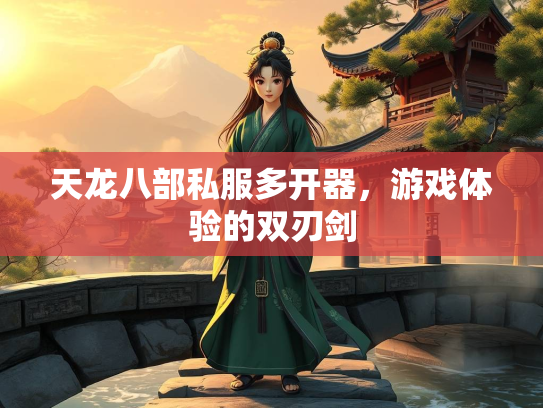 天龙八部私服多开器,游戏体验的双刃剑 第2张 天龙八部私服多开器,游戏体验的双刃剑 第2张