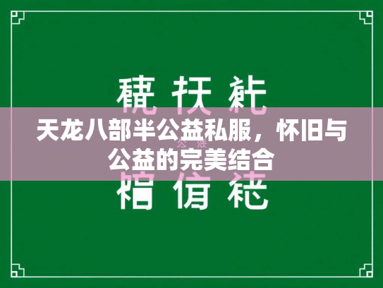 天龙八部半公益私服，怀旧与公益的完美结合  第2张