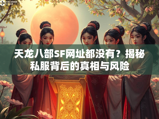天龙八部SF网址都没有？揭秘私服背后的真相与风险  第2张