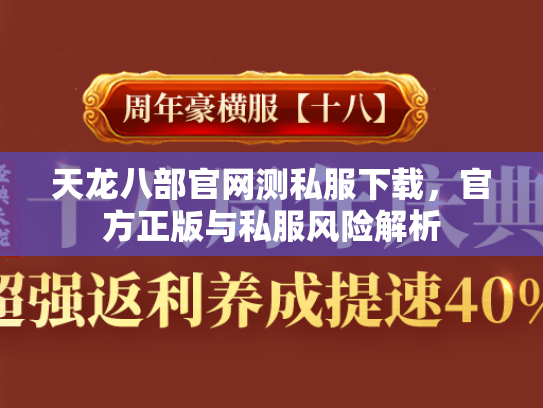 天龙八部官网测私服下载，官方正版与私服风险解析  第2张