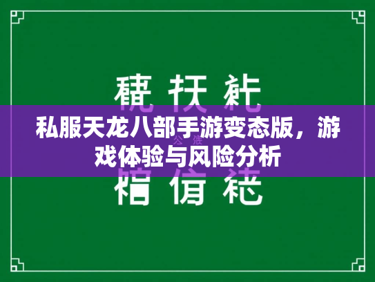 私服天龙八部手游变态版，游戏体验与风险分析