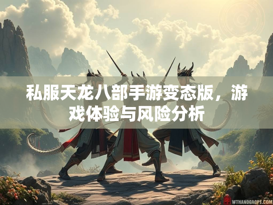 私服天龙八部手游变态版，游戏体验与风险分析