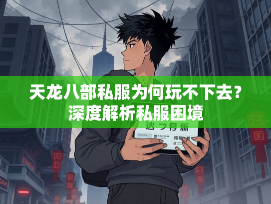 天龙八部私服为何玩不下去？深度解析私服困境  第2张