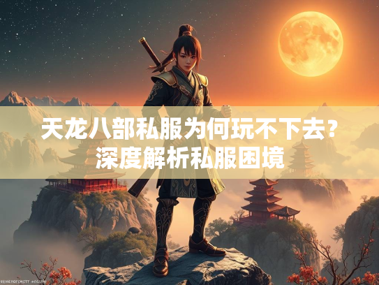 天龙八部私服为何玩不下去？深度解析私服困境  第3张