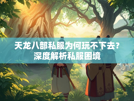 天龙八部私服为何玩不下去？深度解析私服困境  第1张