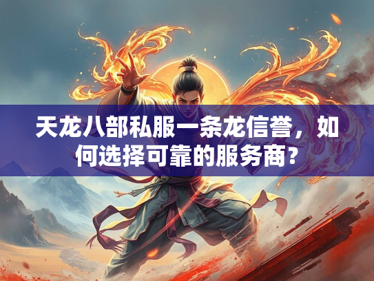 天龙八部私服一条龙信誉，如何选择可靠的服务商？  第3张