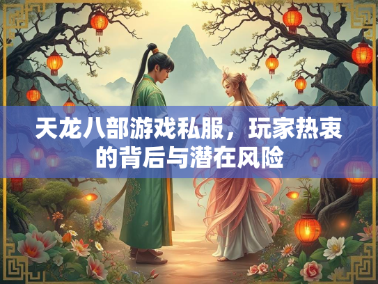 天龙八部游戏私服，玩家热衷的背后与潜在风险  第2张