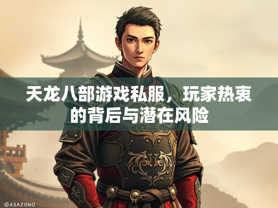 天龙八部游戏私服，玩家热衷的背后与潜在风险  第3张