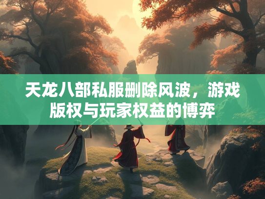 天龙八部私服删除风波，游戏版权与玩家权益的博弈  第1张