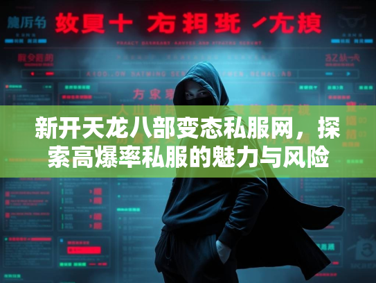 新开天龙八部变态私服网，探索高爆率私服的魅力与风险  第3张