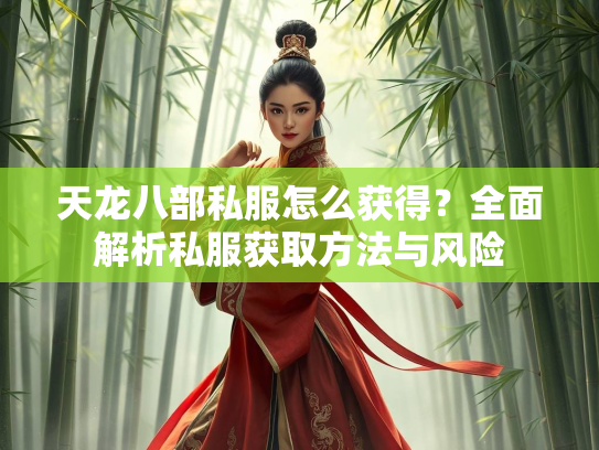 天龙八部私服怎么获得？全面解析私服获取方法与风险  第2张