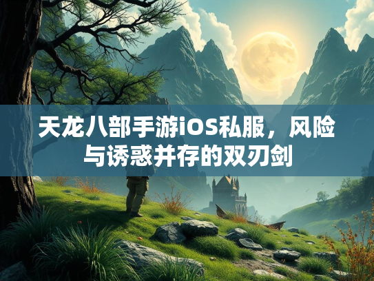天龙八部手游iOS私服，风险与诱惑并存的双刃剑  第3张
