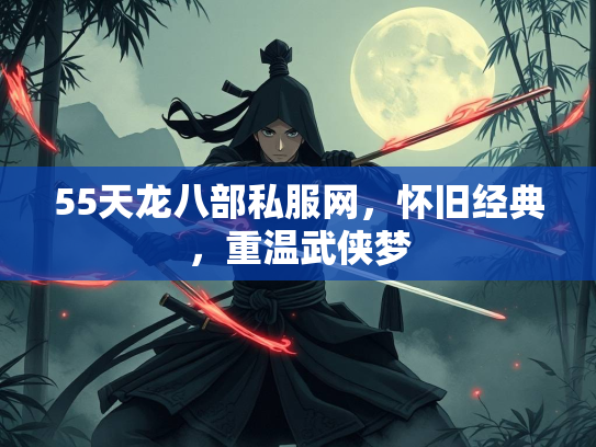 55天龙八部私服网，怀旧经典，重温武侠梦  第1张