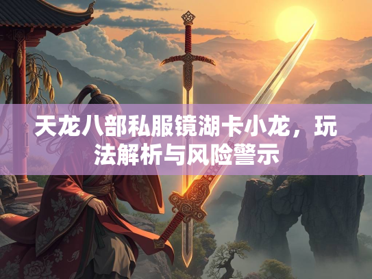 天龙八部私服镜湖卡小龙，玩法解析与风险警示  第2张
