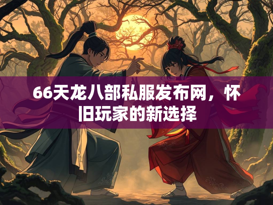 66天龙八部私服发布网，怀旧玩家的新选择  第2张