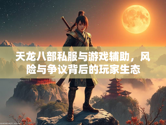 天龙八部私服与游戏辅助，风险与争议背后的玩家生态  第3张