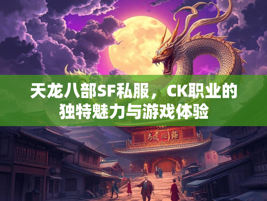 天龙八部SF私服，CK职业的独特魅力与游戏体验  第1张
