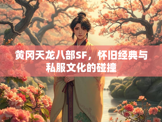 黄冈天龙八部SF，怀旧经典与私服文化的碰撞  第2张