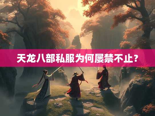 天龙八部私服为何屡禁不止？  第1张