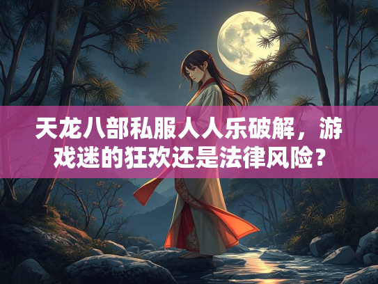 天龙八部私服人人乐破解，游戏迷的狂欢还是法律风险？  第3张