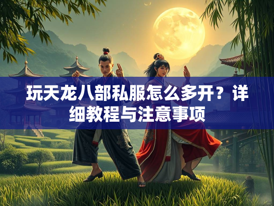 玩天龙八部私服怎么多开？详细教程与注意事项  第2张