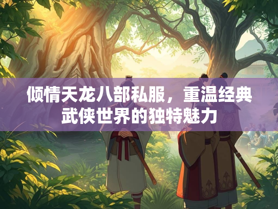 倾情天龙八部私服，重温经典武侠世界的独特魅力  第2张