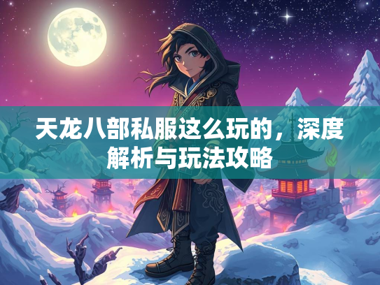天龙八部私服这么玩的，深度解析与玩法攻略  第2张