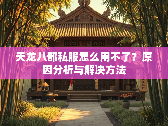 天龙八部私服怎么用不了？原因分析与解决方法  第1张