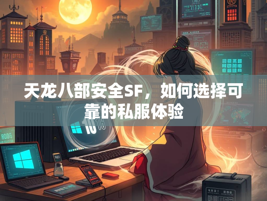 天龙八部安全SF，如何选择可靠的私服体验  第2张
