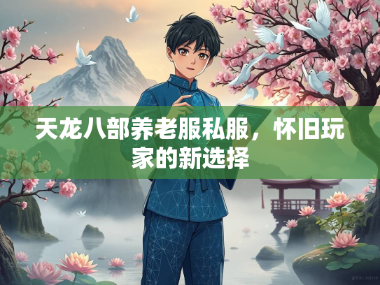 天龙八部养老服私服，怀旧玩家的新选择