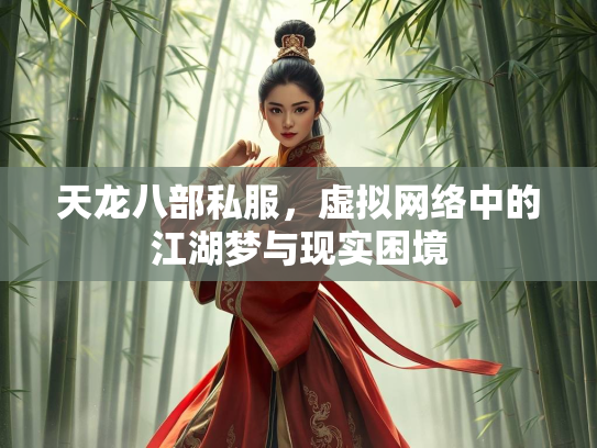 天龙八部私服，虚拟网络中的江湖梦与现实困境  第1张