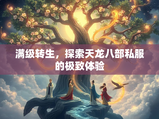 满级转生，探索天龙八部私服的极致体验  第2张