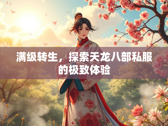 满级转生，探索天龙八部私服的极致体验  第1张