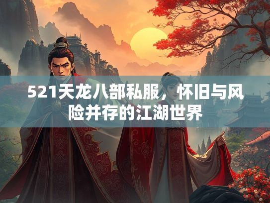 521天龙八部私服，怀旧与风险并存的江湖世界  第3张