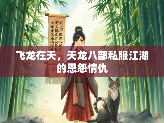 飞龙在天，天龙八部私服江湖的恩怨情仇