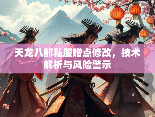 天龙八部私服赠点修改，技术解析与风险警示  第2张