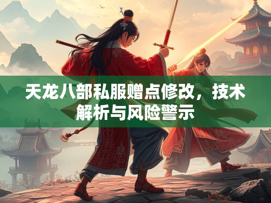 天龙八部私服赠点修改，技术解析与风险警示  第3张
